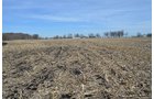 Property photo 161 - REAL ESTATE & PERSONAL PROPERTY AUCTION, 140 Acres offered in 8 Tracts or Combinations in Steuben County